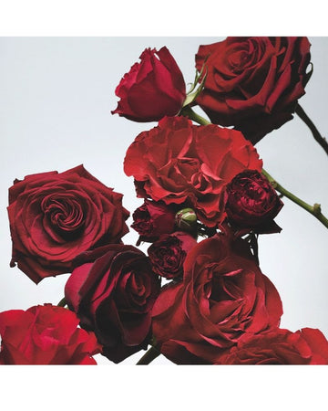 Red Roses Diffuser 165ml