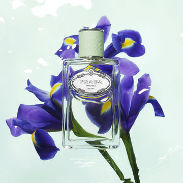 Infusion D'iris EDP Vp 100ml